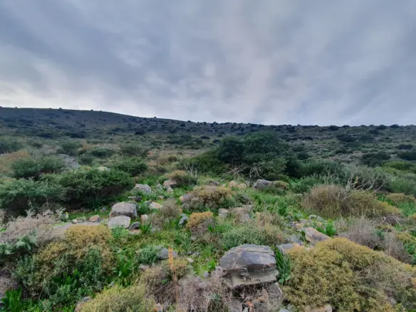 Land Of 5340 M² In Crete