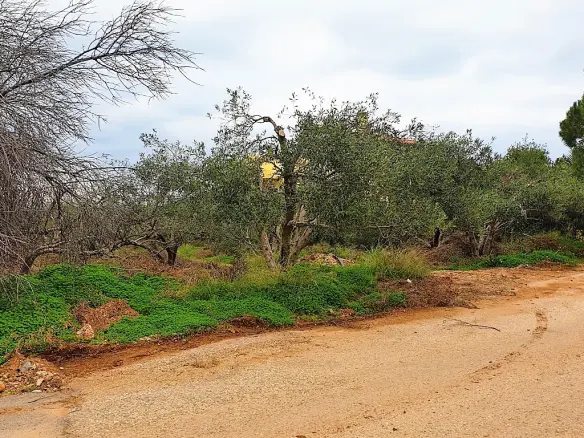 Land Of 2500 M² In Crete