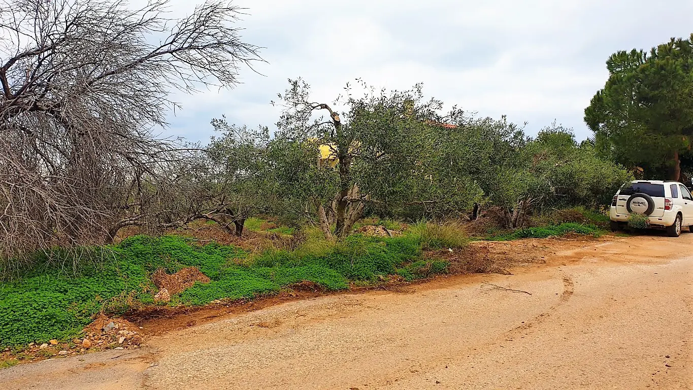 Land Of 2500 M² In Crete