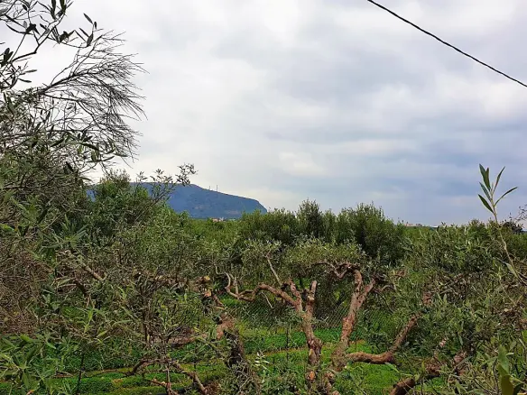 Land Of 2500 M² In Crete