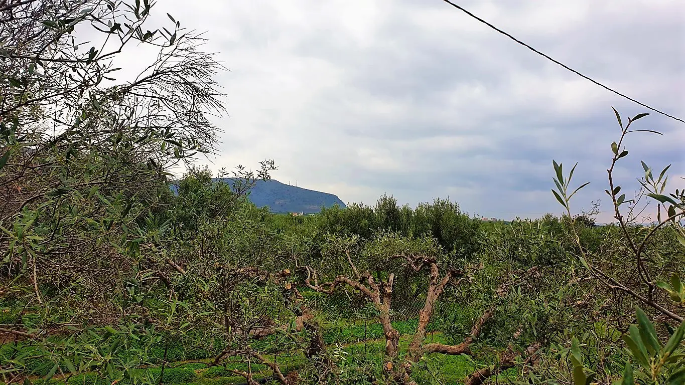 Land Of 2500 M² In Crete