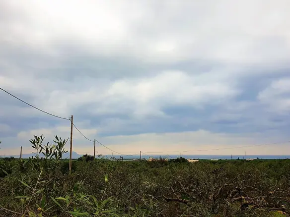 Land Of 2500 M² In Crete
