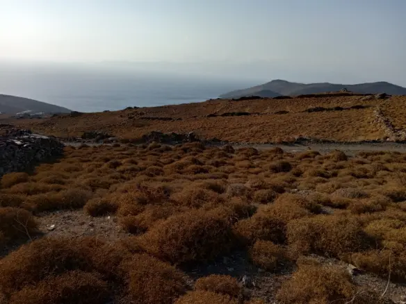 Land Of 5643 M² In Cyclades