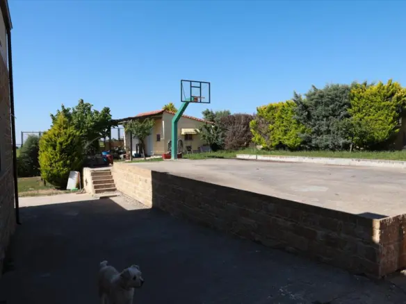 Villa Of 500 M² In The Suburbs Of Thessaloniki