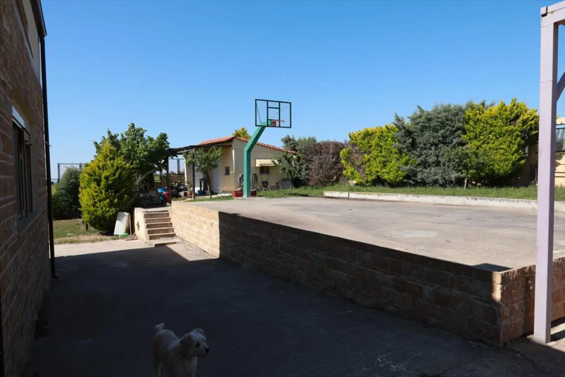Villa Of 500 M² In The Suburbs Of Thessaloniki