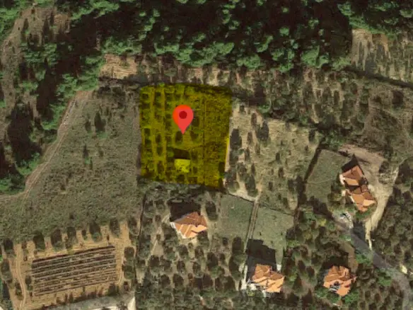 Land Of 2500 M² In Sithonia, Chalkidiki