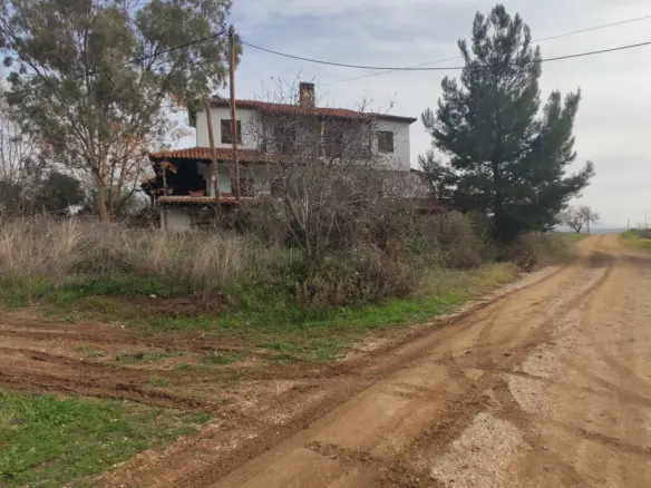 Land In Sithonia, Greece