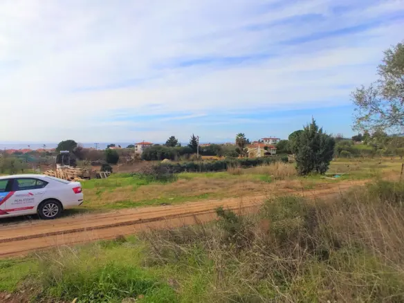 Land In Sithonia, Greece
