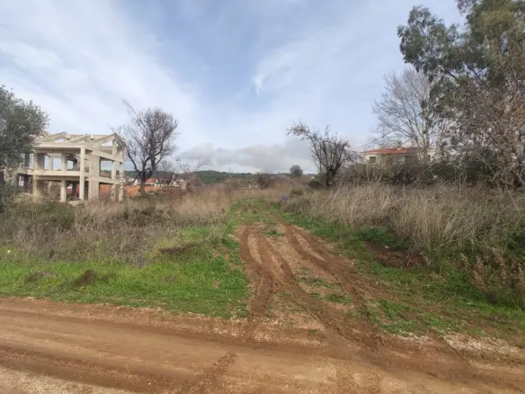 Land In Sithonia, Greece