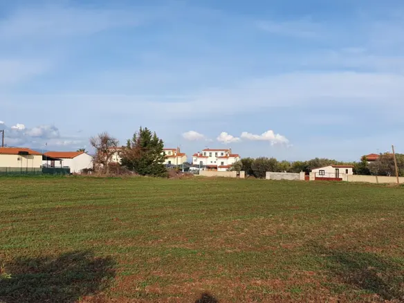 Land Of 9000 M² In Chalkidiki