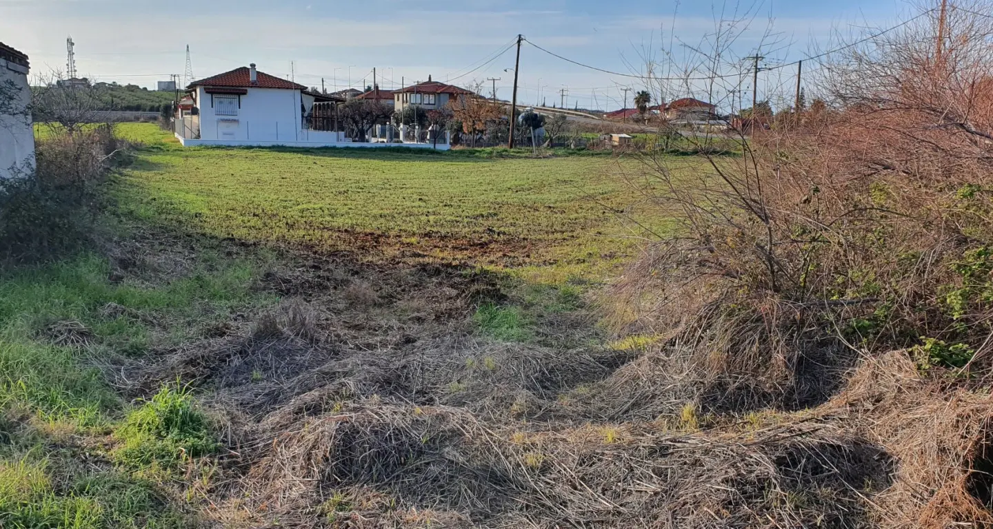Land Of 9000 M² In Chalkidiki