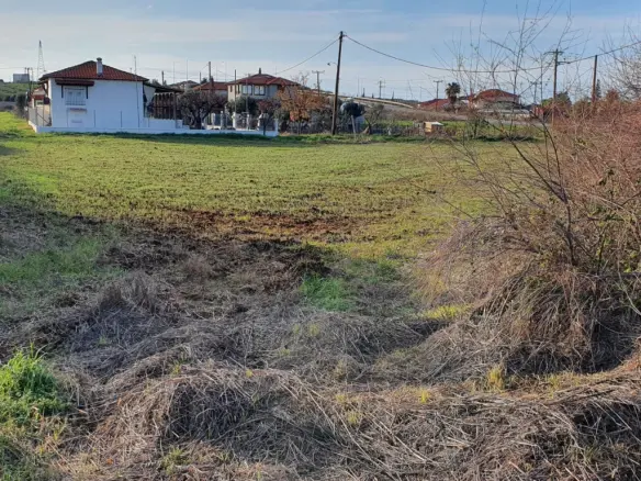 Land In Kassandra, Greece