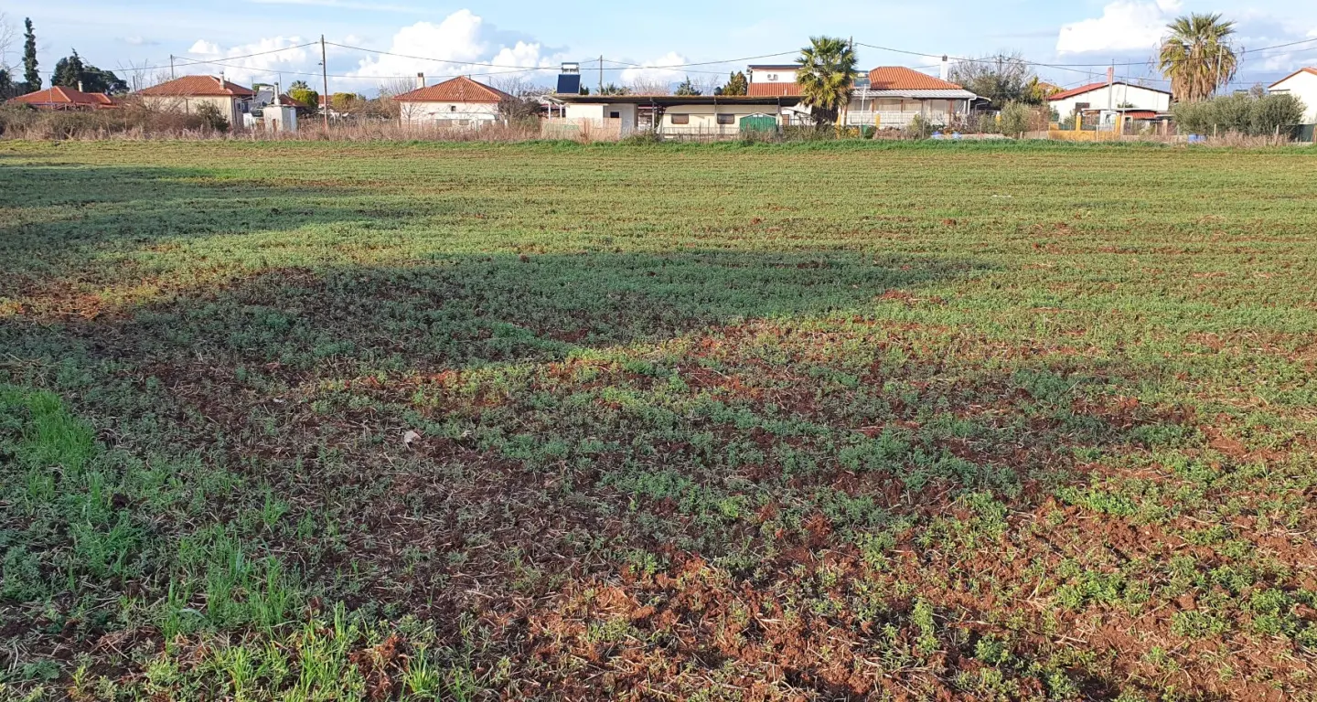 Land Of 9000 M² In Chalkidiki