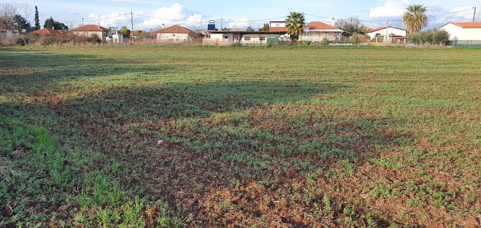 Land Of 9000 M² In Chalkidiki