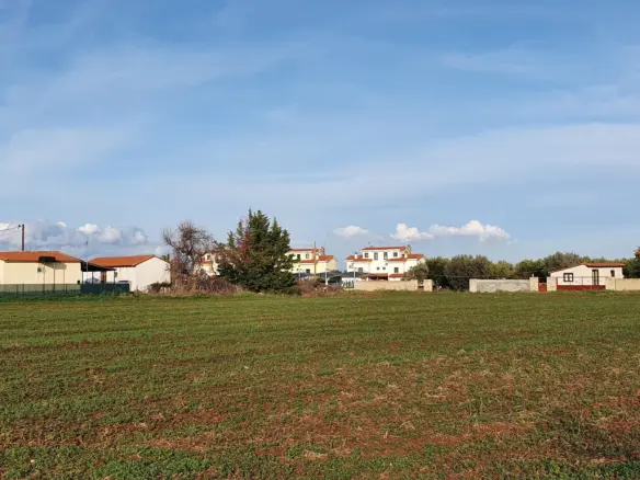 Land In Kassandra, Greece