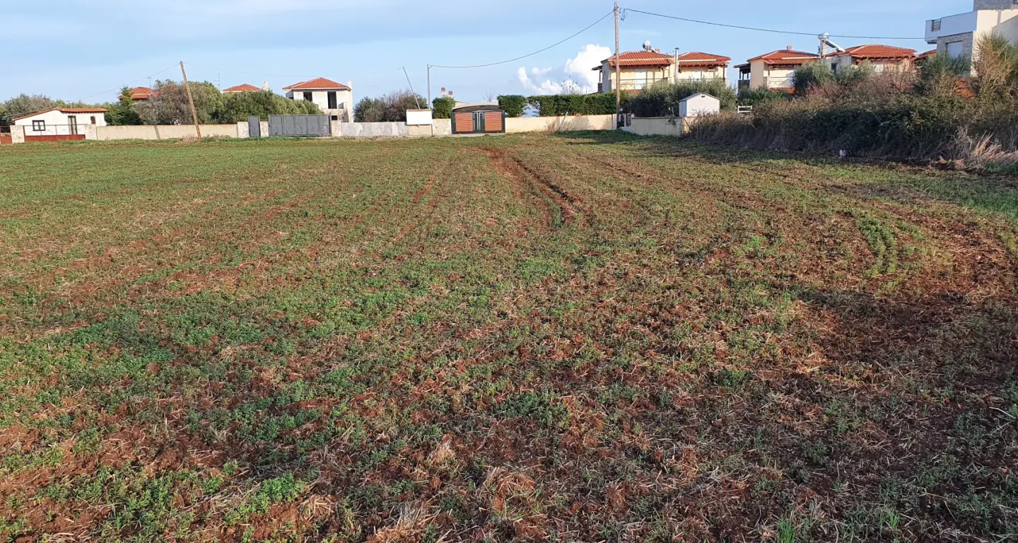 Land Of 9000 M² In Chalkidiki