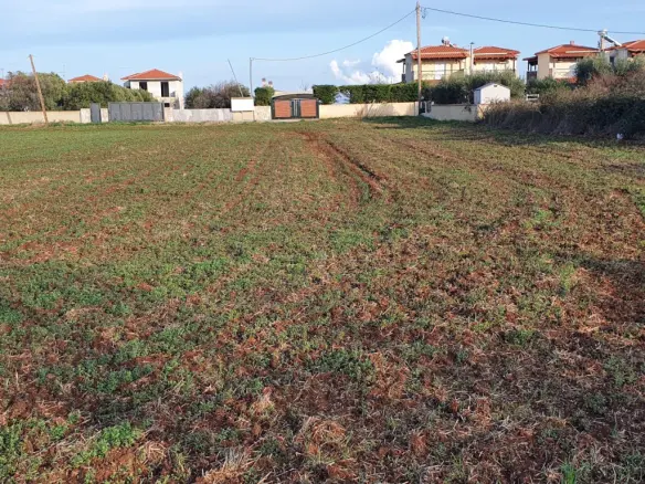 Land In Kassandra, Greece