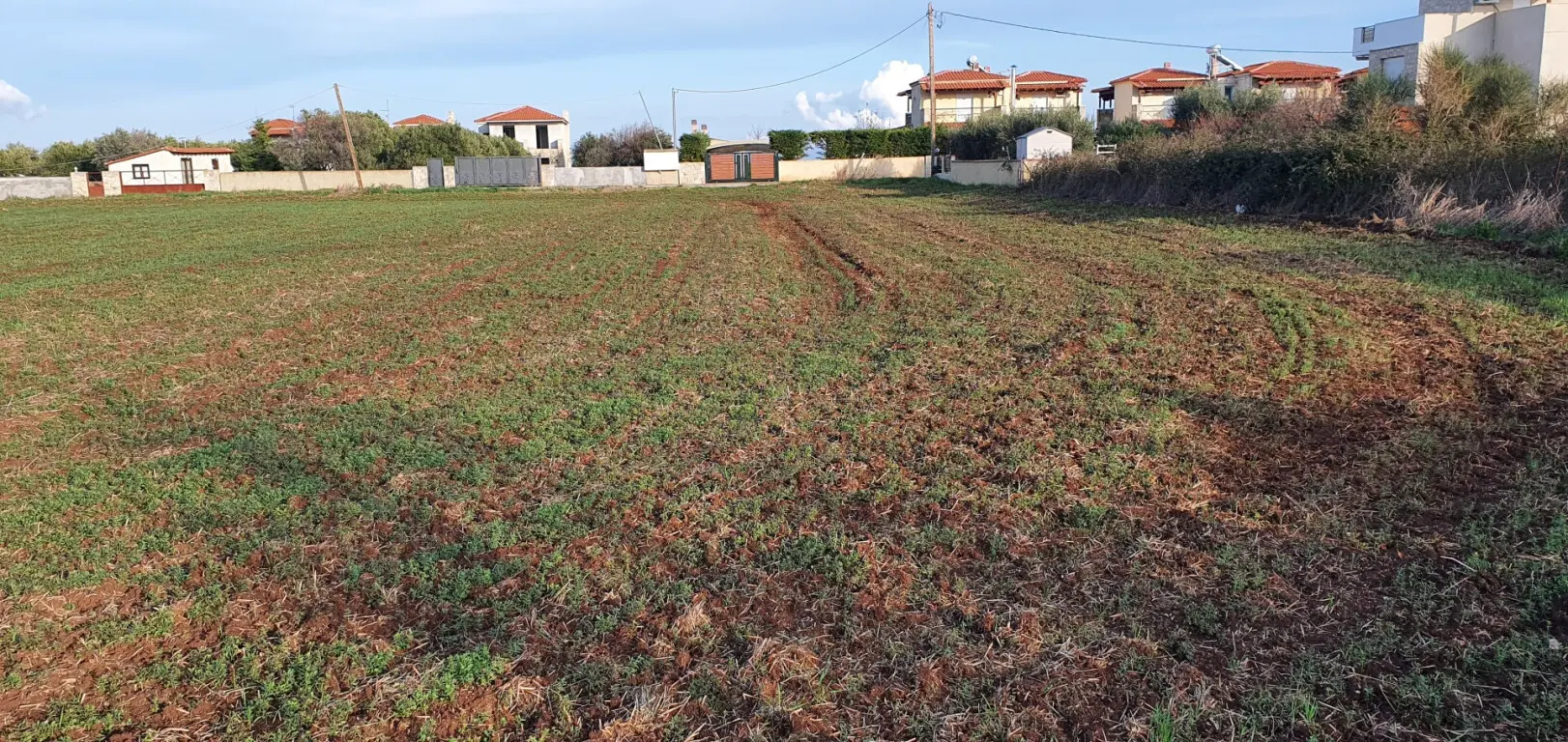 Land Of 9000 M² In Chalkidiki