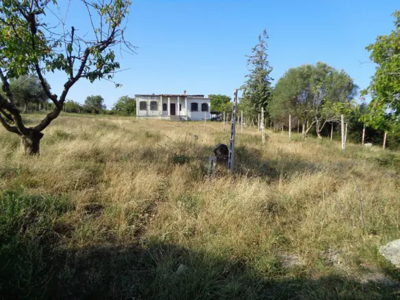 Land In Veroia, Greece