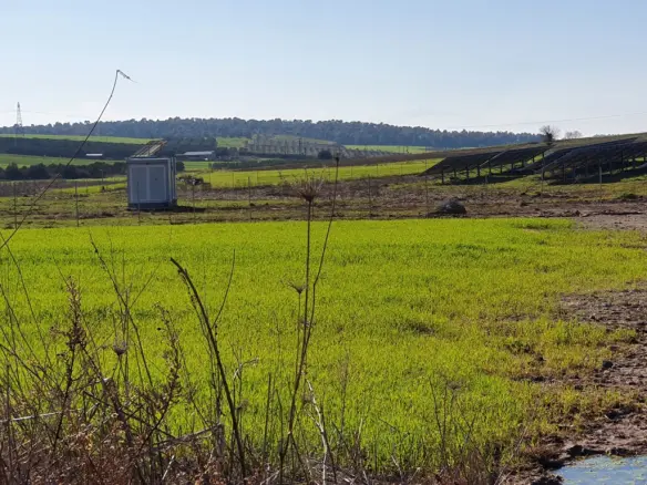 For Sale Land 6460 M² In Kassandra, Chalkidiki