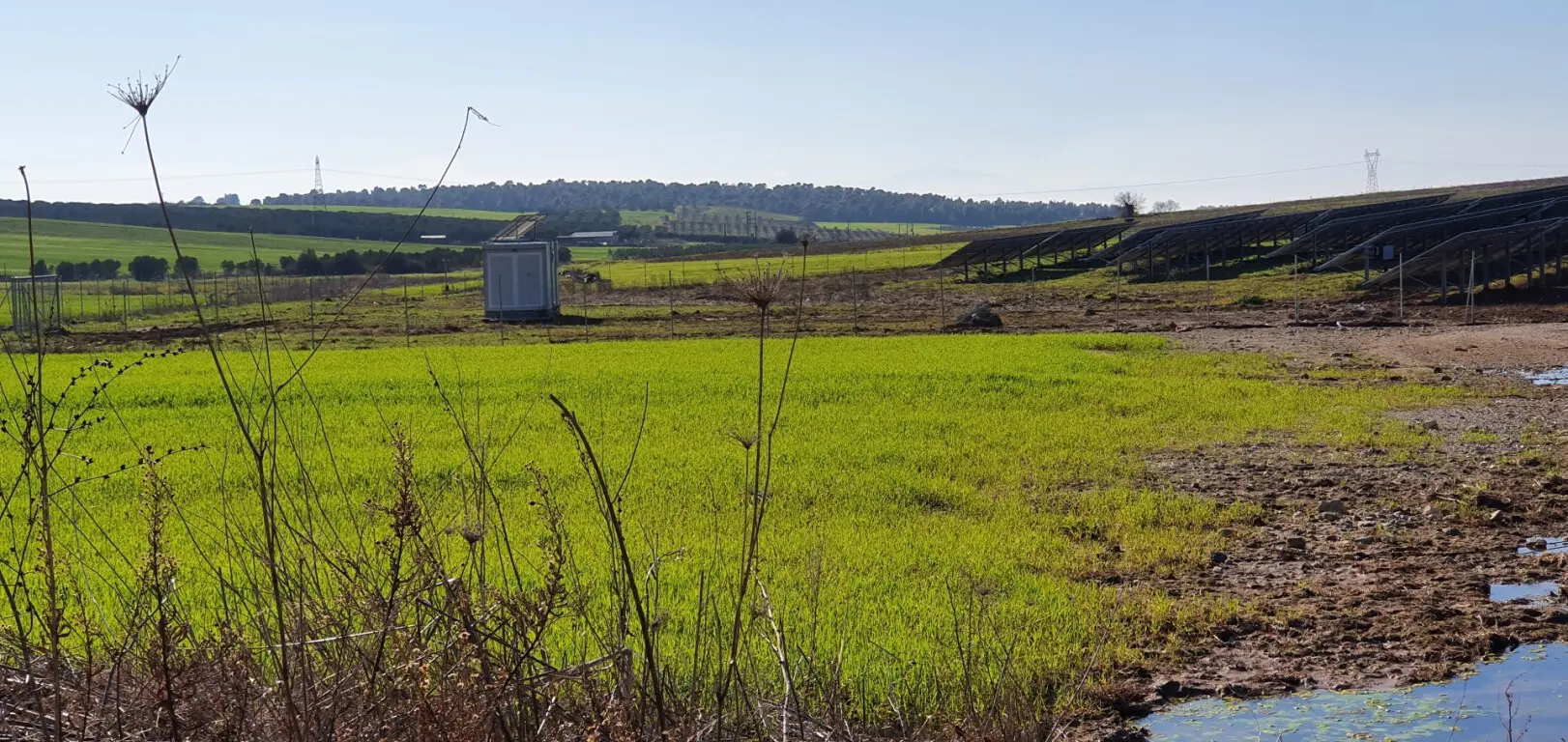 For Sale Land 6460 M² In Kassandra, Chalkidiki