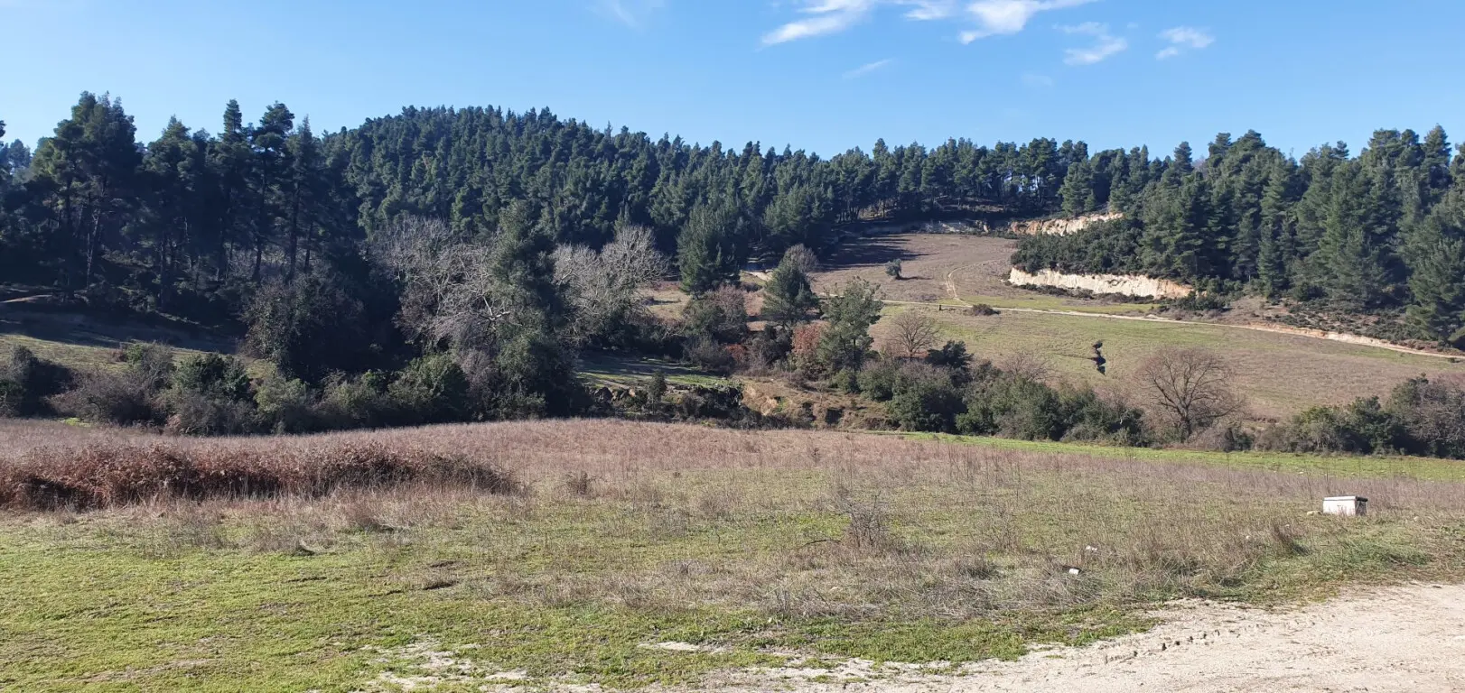 For Sale Land 18000 M² In Kassandra, Chalkidiki