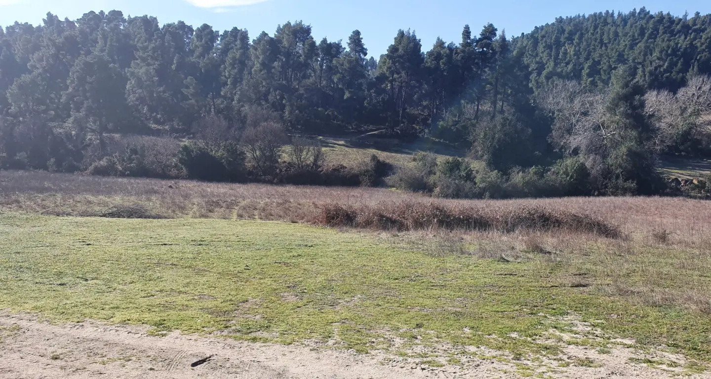 Land In Kassandra, Greece