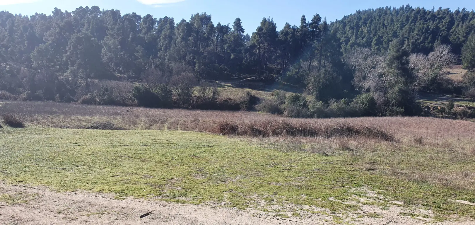 For Sale Land 18000 M² In Kassandra, Chalkidiki