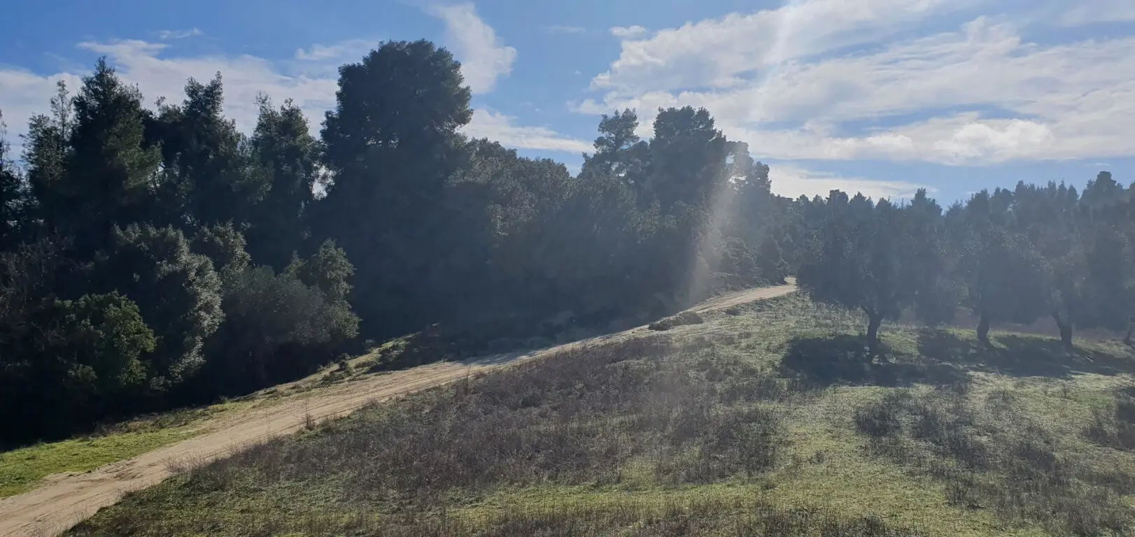 For Sale Land 18000 M² In Kassandra, Chalkidiki
