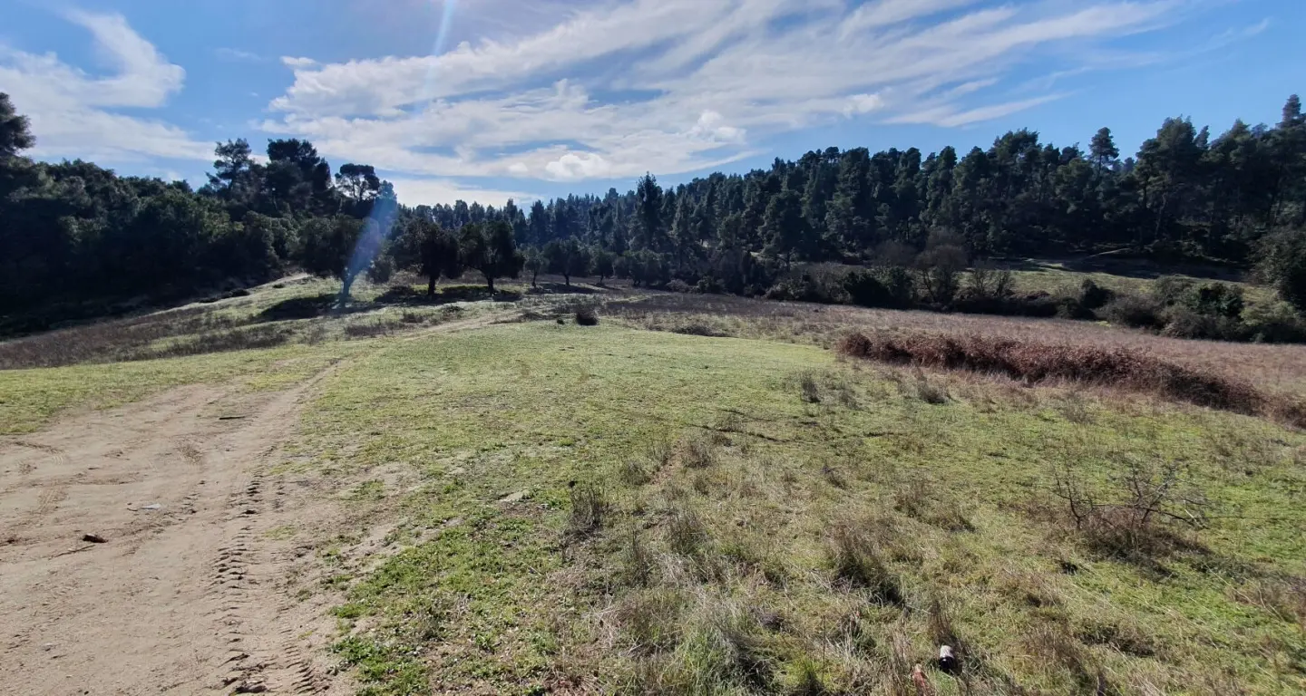 Land In Kassandra, Greece