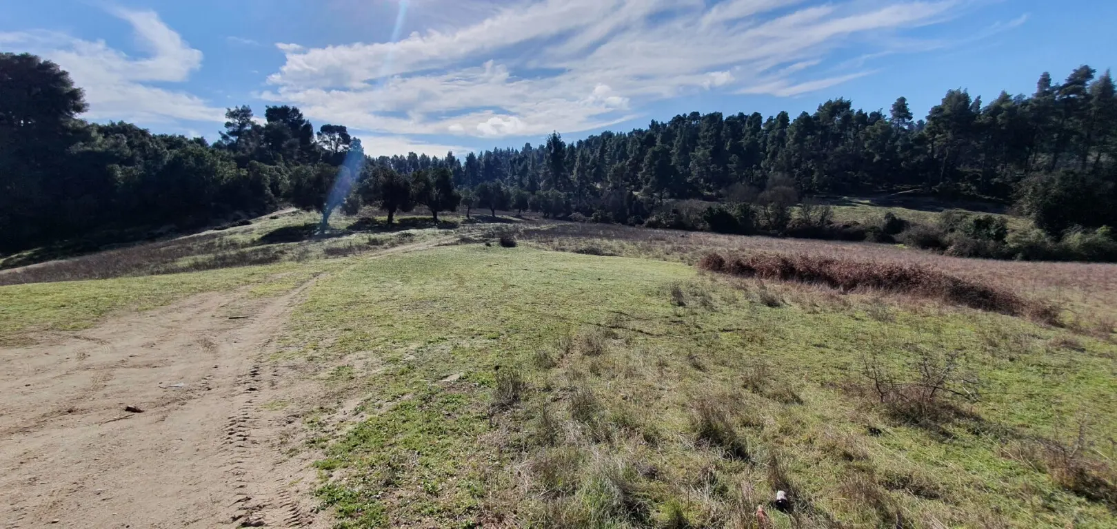 For Sale Land 18000 M² In Kassandra, Chalkidiki