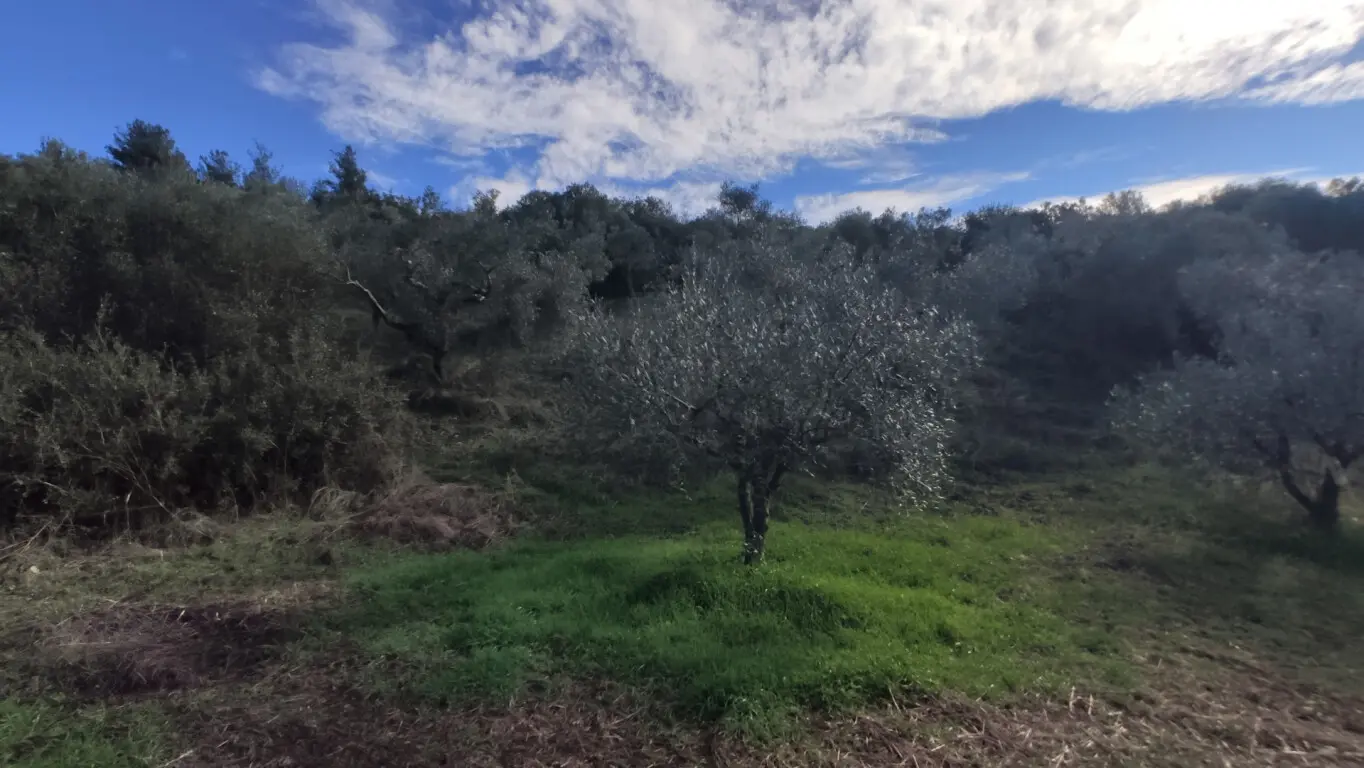 Land Of 14000 M² In Sithonia, Chalkidiki