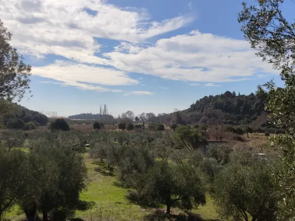 Land In Sithonia, Greece