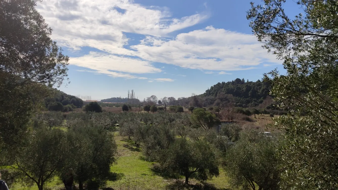Land Of 14000 M² In Sithonia, Chalkidiki