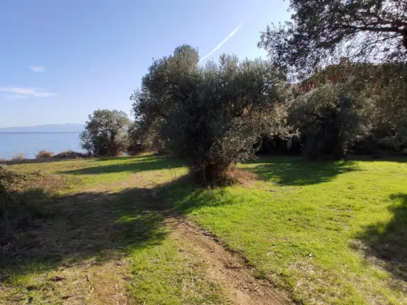 Land In Aristotle, Greece