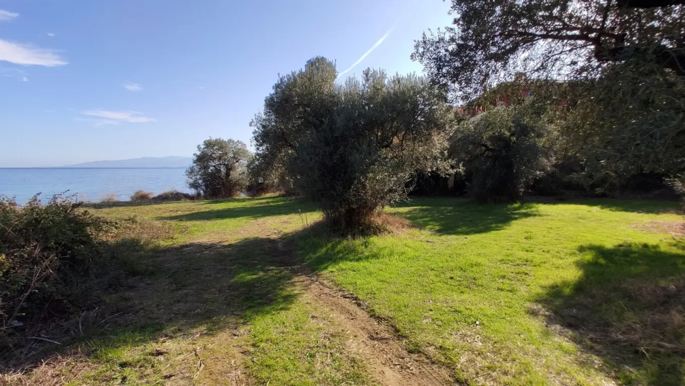 Land Of 3700 M² In Sithonia, Chalkidiki