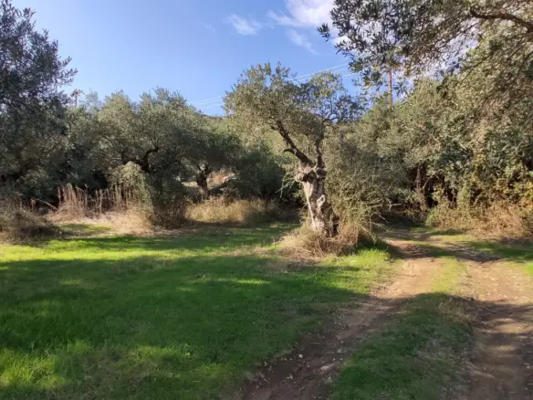 Land In Aristotle, Greece