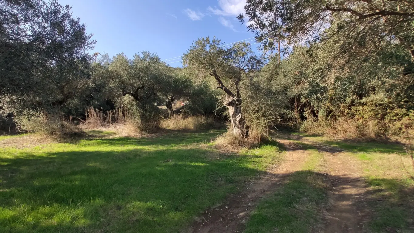 Land Of 3700 M² In Sithonia, Chalkidiki