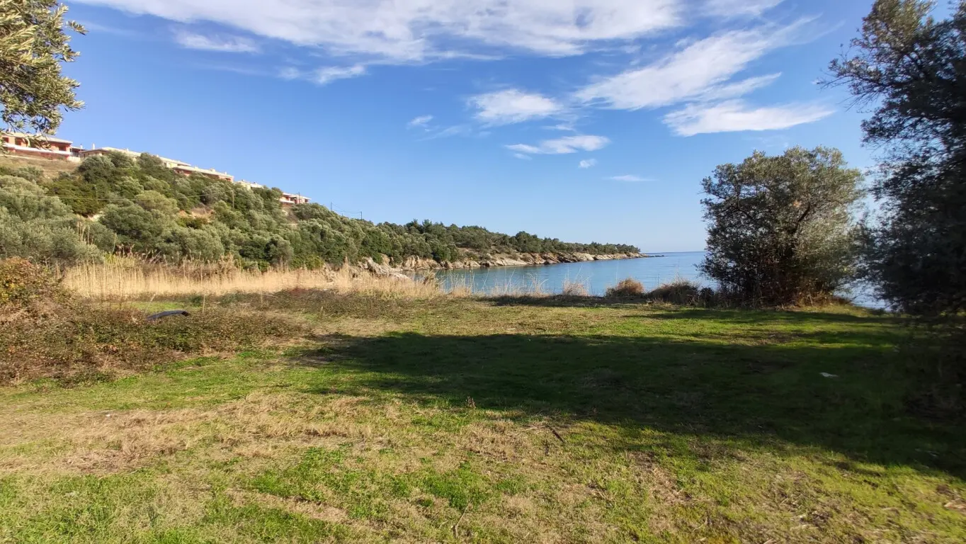 Land Of 3700 M² In Sithonia, Chalkidiki