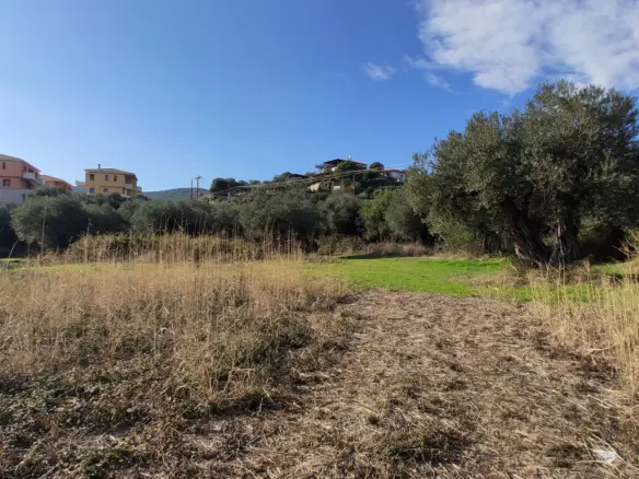 Land In Aristotle, Greece