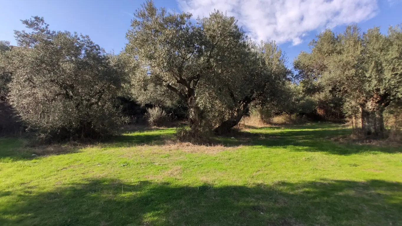 Land Of 3700 M² In Sithonia, Chalkidiki