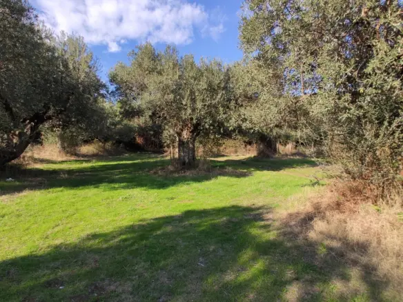 Land In Aristotle, Greece