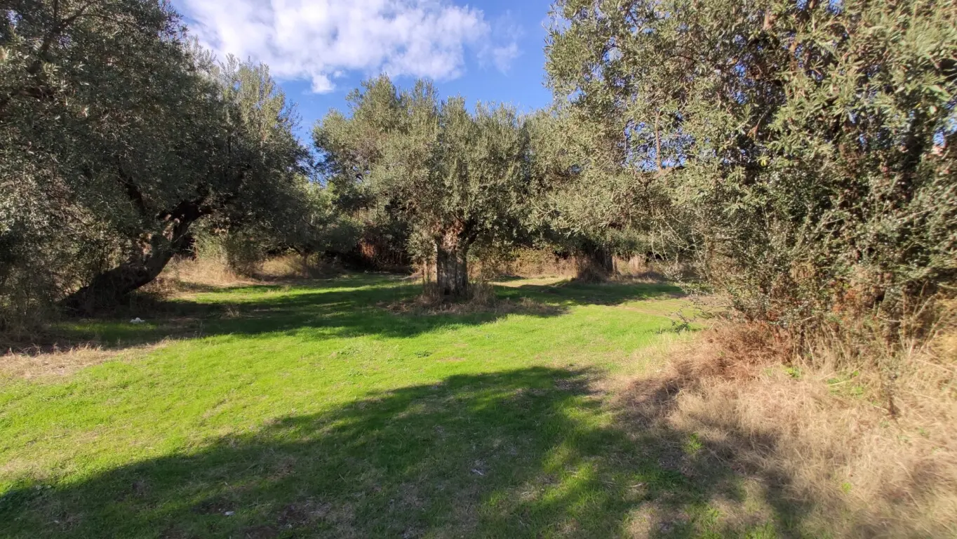 Land Of 3700 M² In Sithonia, Chalkidiki