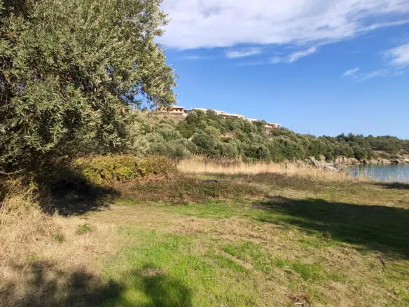 Land In Aristotle, Greece