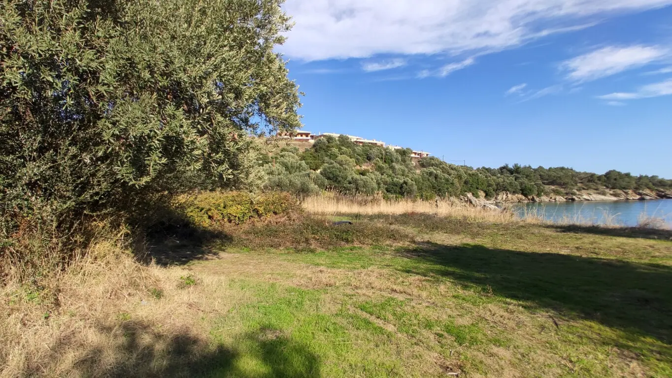 Land Of 3700 M² In Sithonia, Chalkidiki