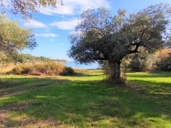 Land In Aristotle, Greece