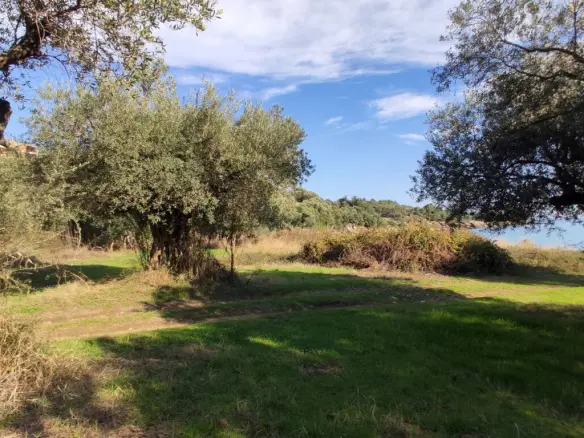 Land In Aristotle, Greece