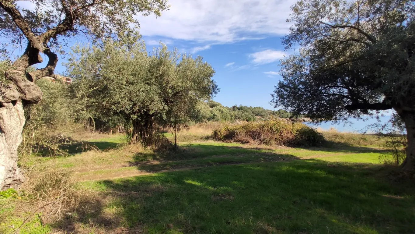 Land Of 3700 M² In Sithonia, Chalkidiki