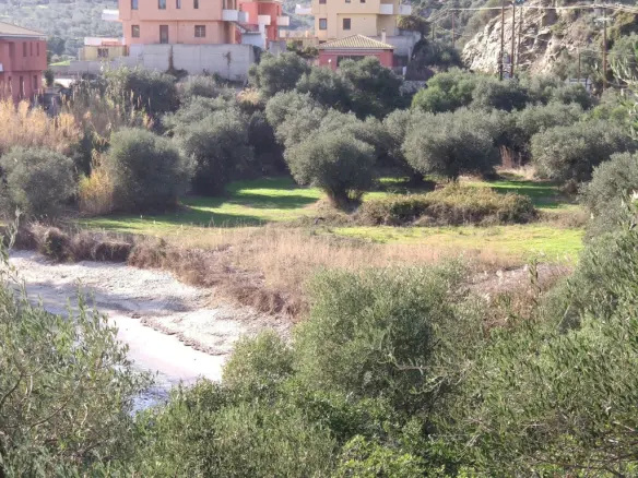 Land In Aristotle, Greece