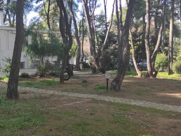 Land In Drossia, Greece